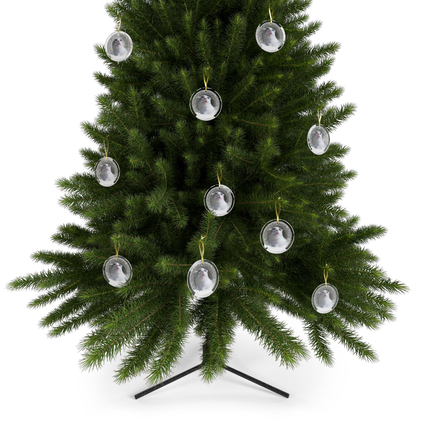 KOSHKA Snowglobe - Glass Ornament