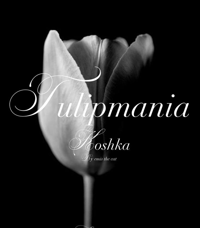 TULIPMANIA- The Creation