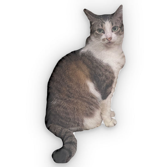 The Emis Pillow