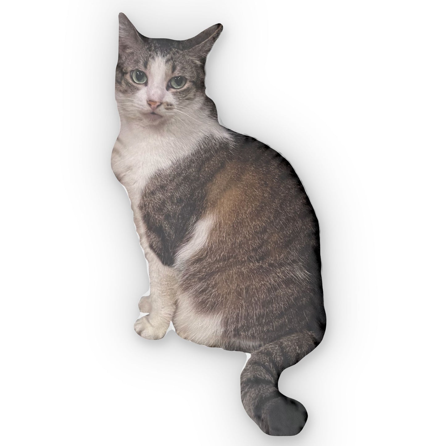 The Emis Pillow